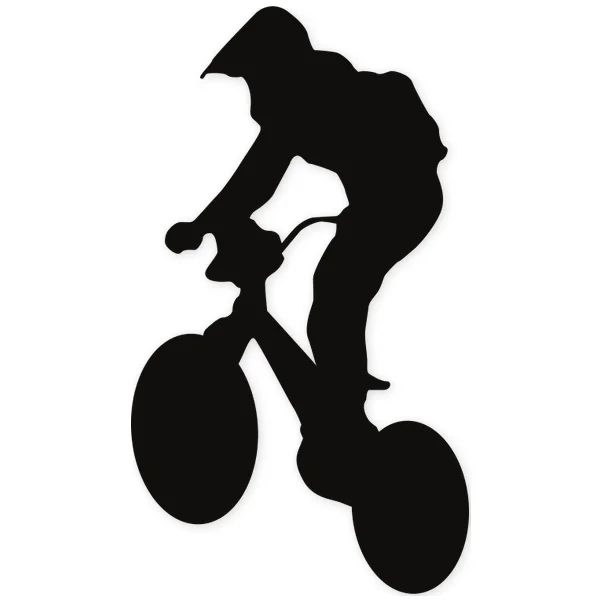 bmx · freeride · bicycle · jump