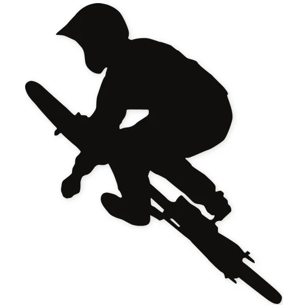 freeride · freestyle · bicycle · jump