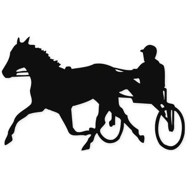jockey · hipica · speed · race · horse
