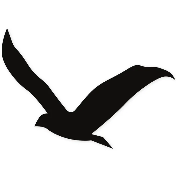 gaviota · pluma · volar