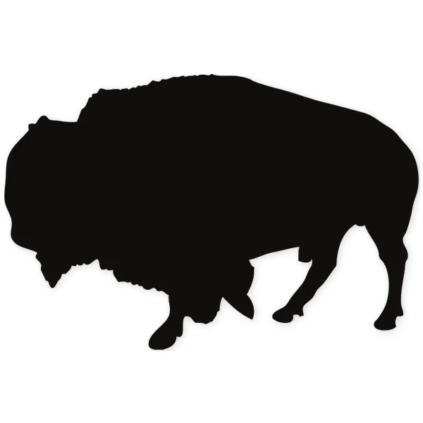 bison