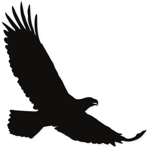 eagle · feather · fly