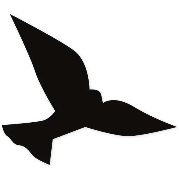 pluma · volar