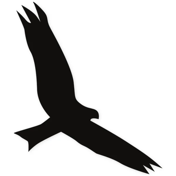 feather · wings · fly