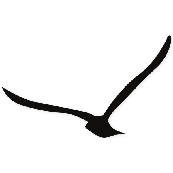 feather · wings · fly
