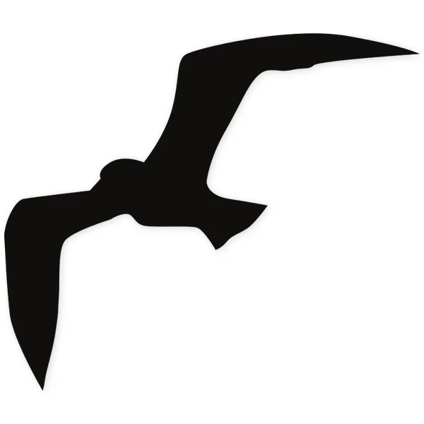 feather · fly