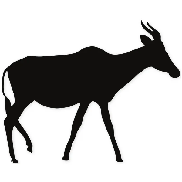 gazelle · deer · heat · african