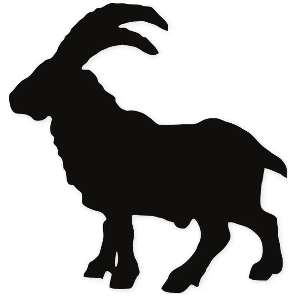 goat · horns · mountain
