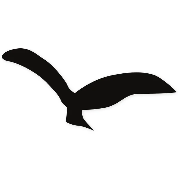 feather · fly
