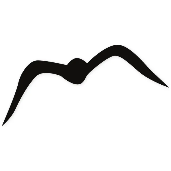 feather · fly