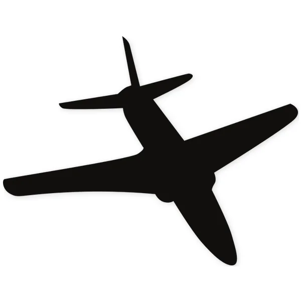 avion · volar