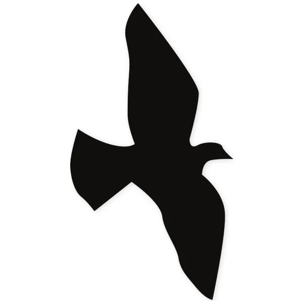 pluma · volar