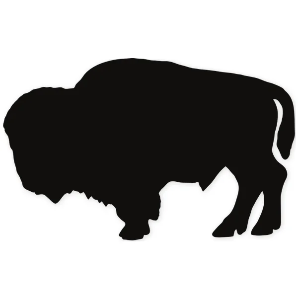 bison