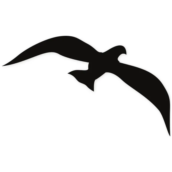 pluma · volar