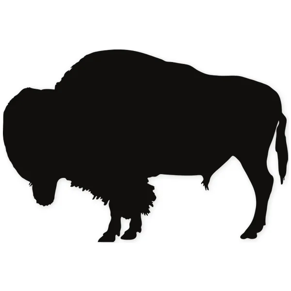 bison