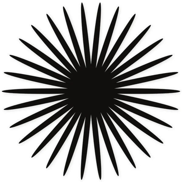 Black 32-pointed star with thin, elongated rays and a dark circular center, arranged in a concentric radial pattern.