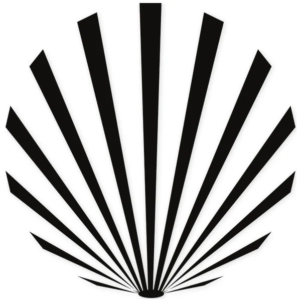 concha · geometrico