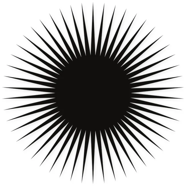 sun · circle · concentric · star