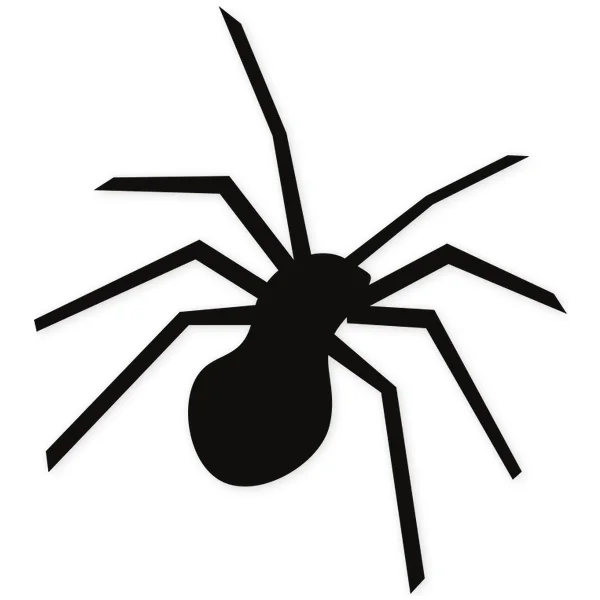 spider