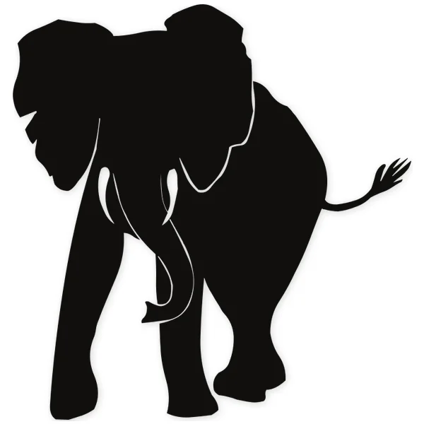 elefant ยท fangs