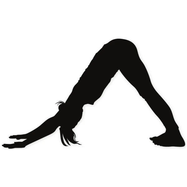 streetching · fitness