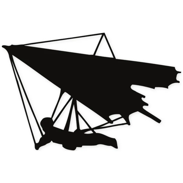 delta wing · sport · wings · fly