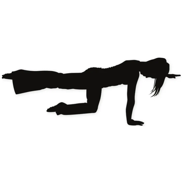 abs · fitness · gymnastic