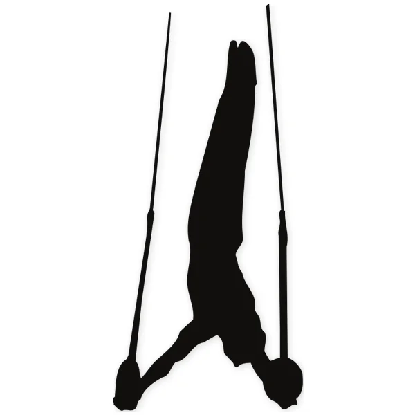ring · gymnastic · athletics