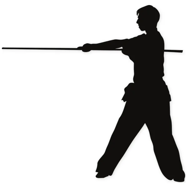 stick · weapon · martial arts · fight