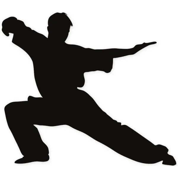 martial arts · fight