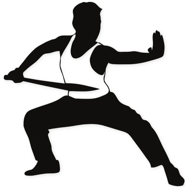 sword · weapon · martial arts · fight