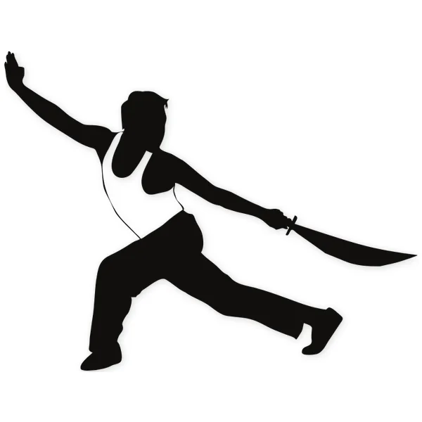 sword · martial arts · fight