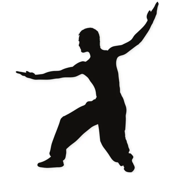 balance ยท martial arts ยท fight