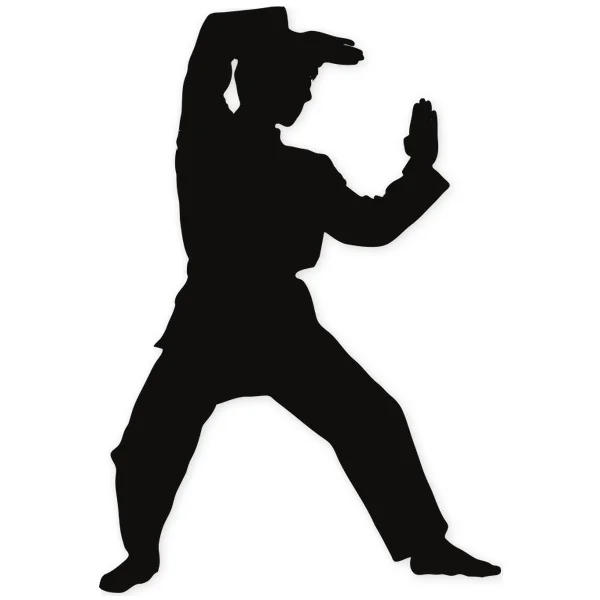 balance · martial arts · fight