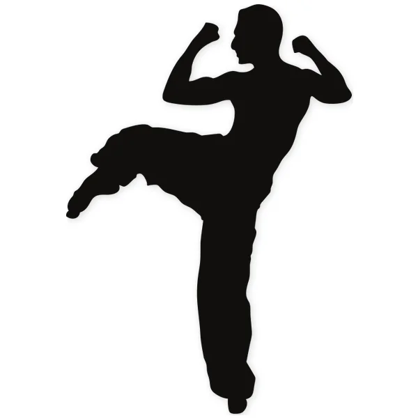 martial arts · fight