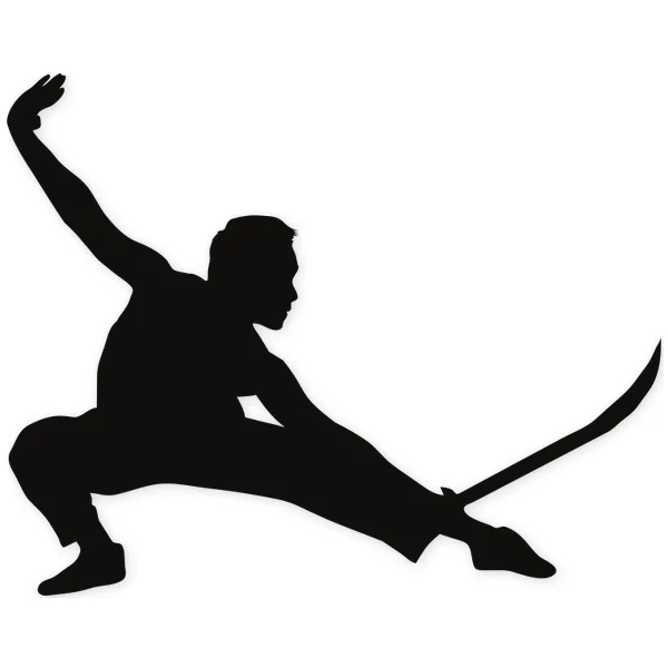 sword · martial arts · fight