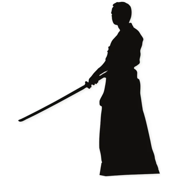 katana · japan · oriental · martial arts · fight