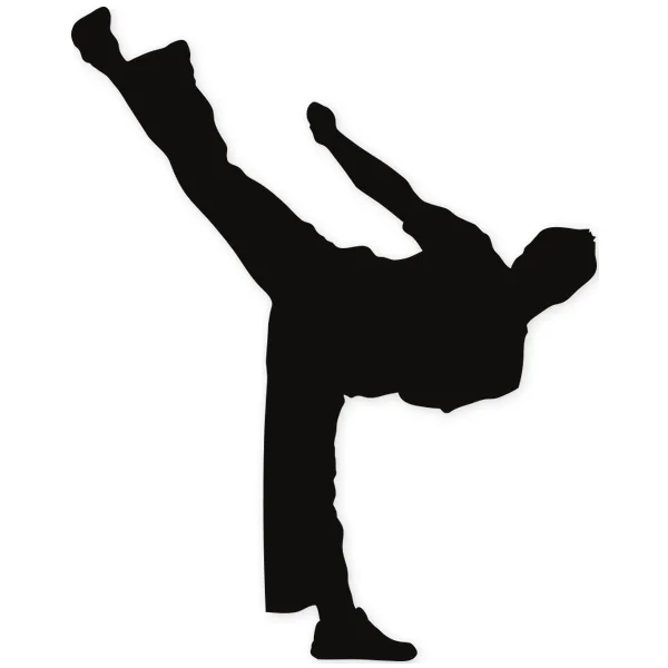 kick · martial arts · fight