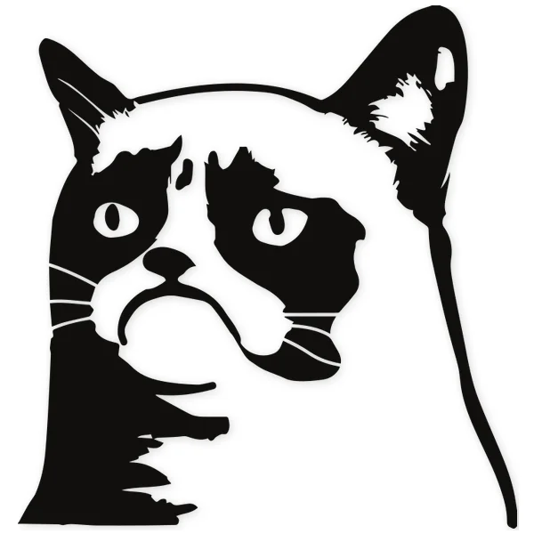 grumpy · meme · enfadado