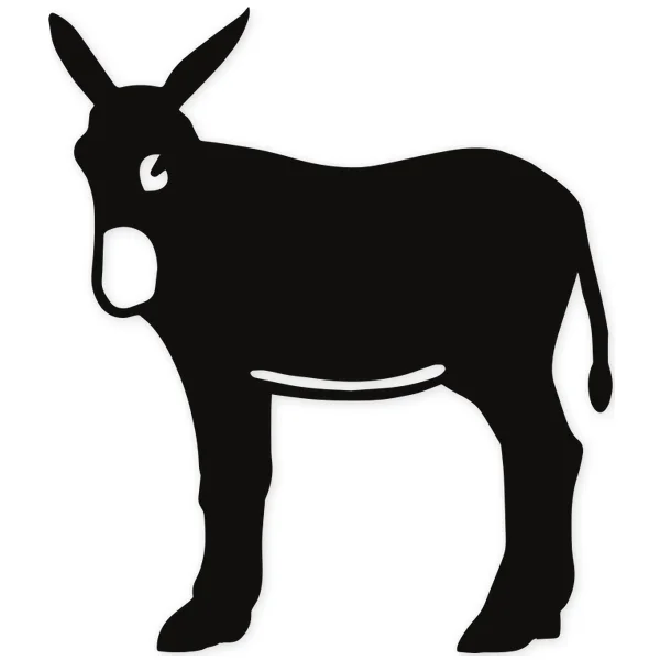 donkey · catalonia · ears · regional