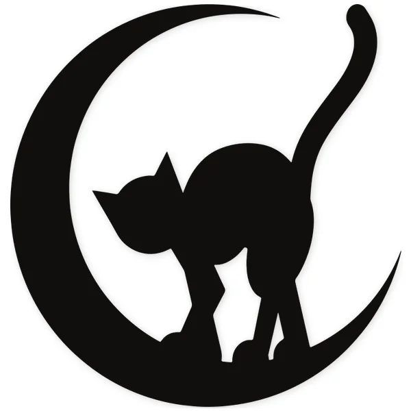 moon · cat