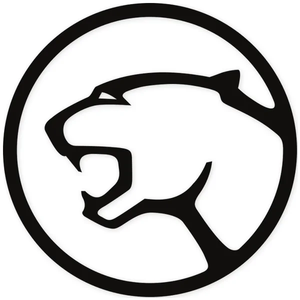cougar ยท ford ยท feline ยท motor ยท tuning ยท car