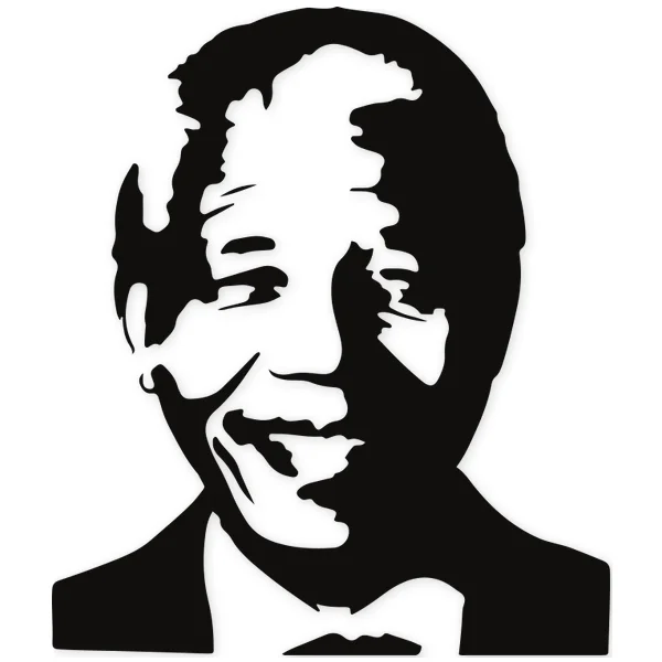 nelson mandela · south africa · president · african