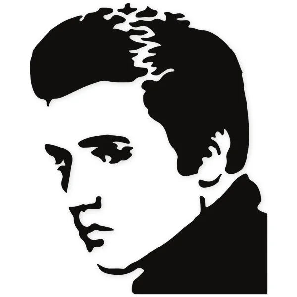 elvis · singer · sing · rock and roll · celebrity · rock · realistic · face