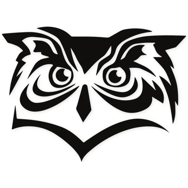 Owl · feather · fly