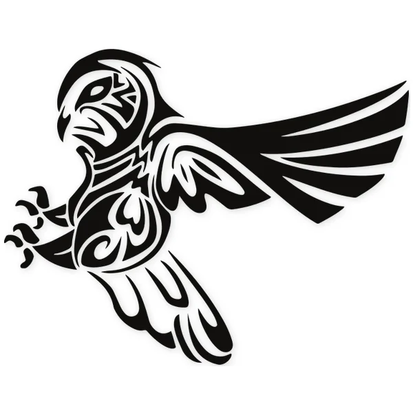claw · eagle · Owl · feather · fly