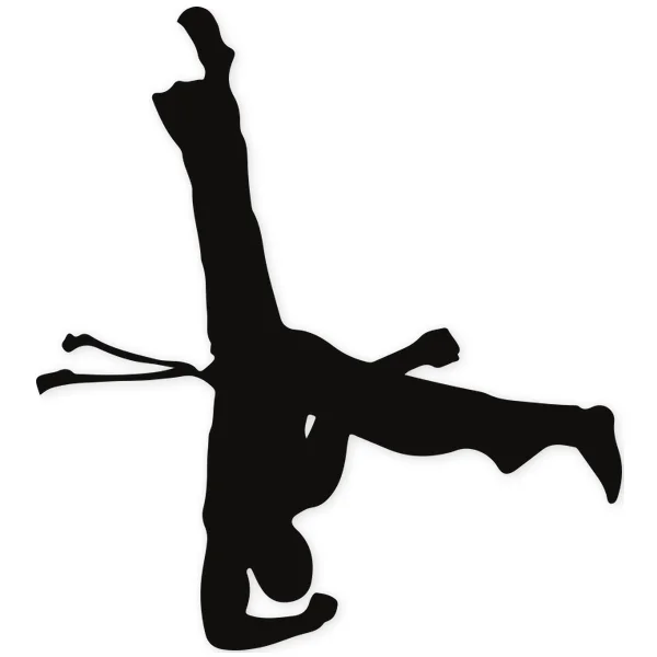 brasil · baile · artes marciales · lucha