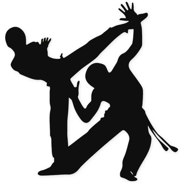brasil · baile · artes marciales · lucha