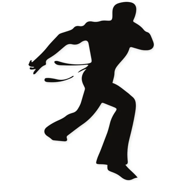 brasil · baile · artes marciales · lucha