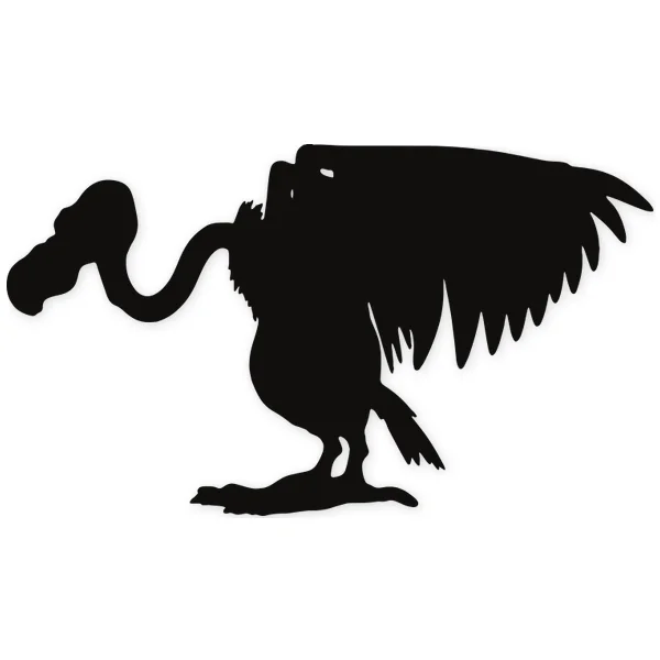 buzzard · bird · fly